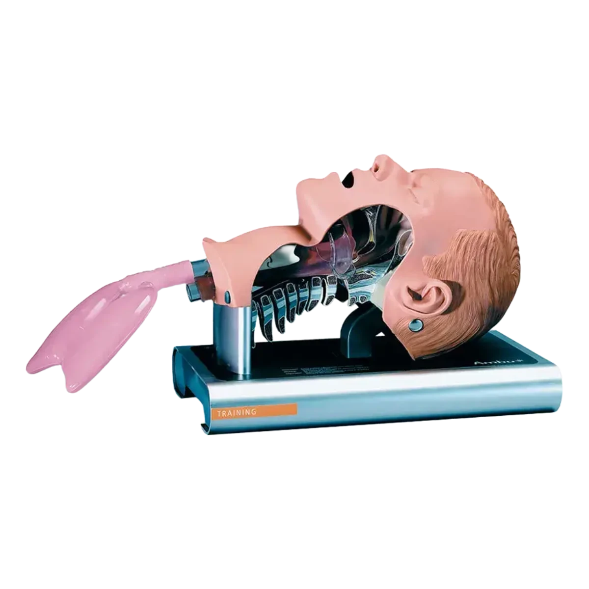 AMBU Intubationstrainer Erwachsene inkl. Tragetasche